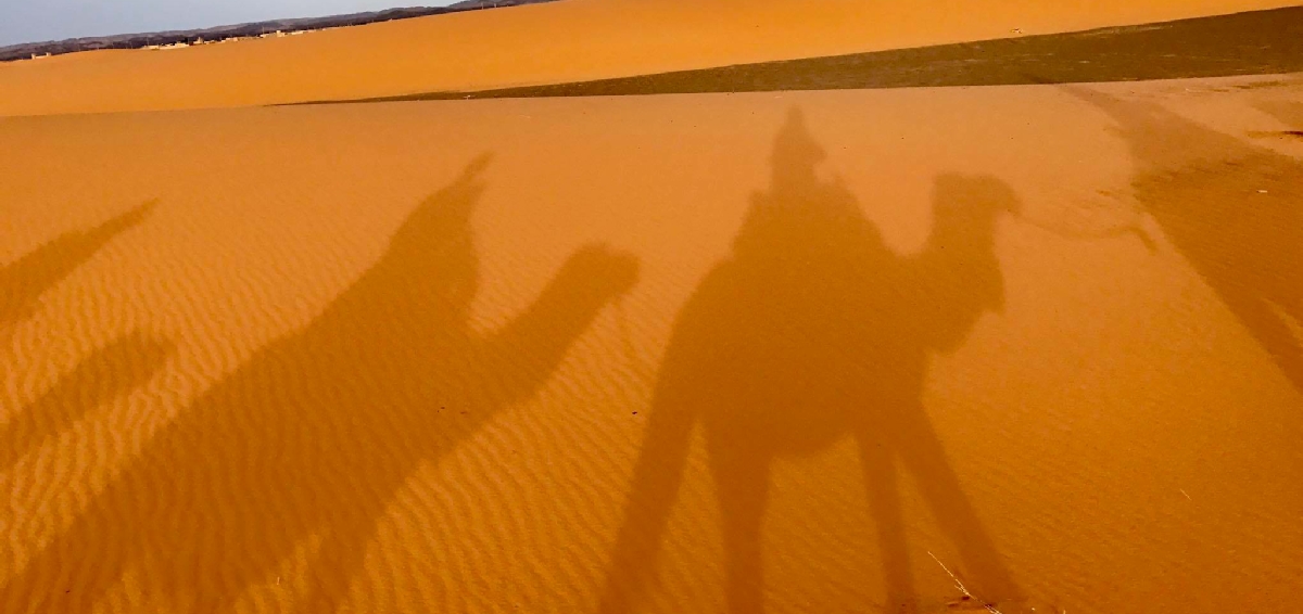 Family Tour with kids