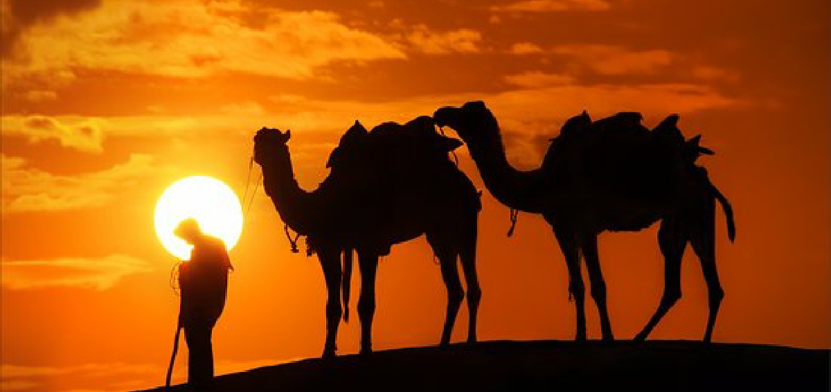 Overnight Camel Trek in Merzouga