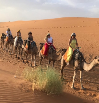 Tours from Marrakech
