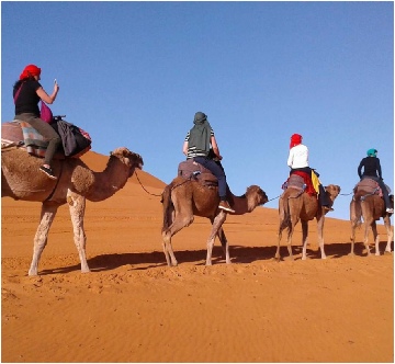 Family Tour with kids