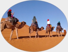 Overnight Camel Trek in Merzouga
